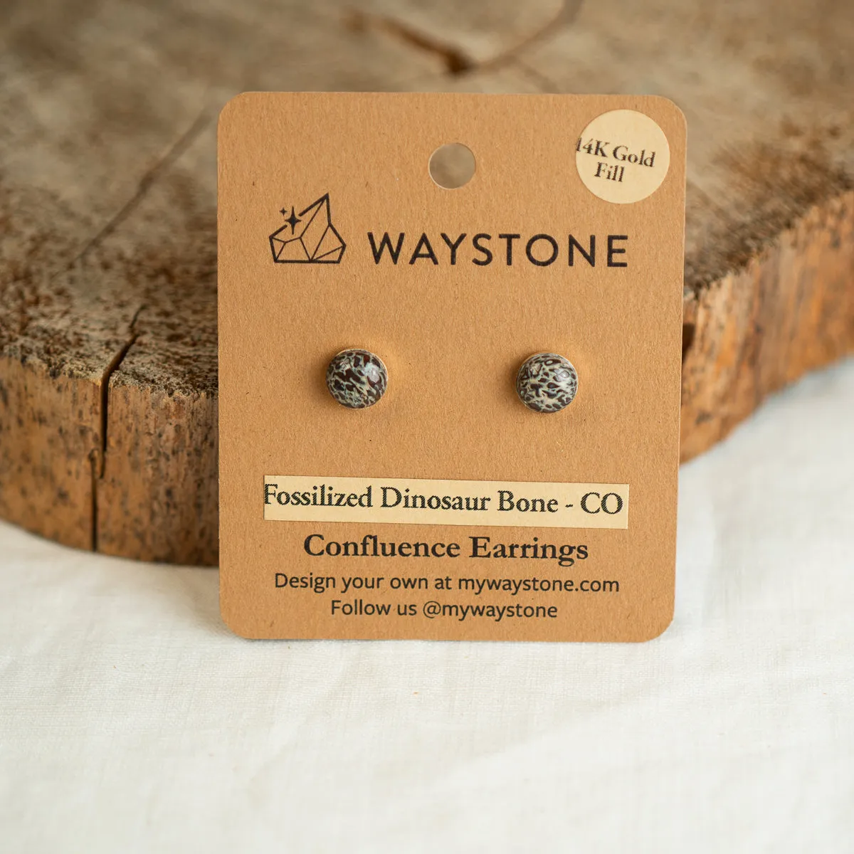 Gold Fill Petite Confluence Earrings - Red Fossilized Dinosaur Bone